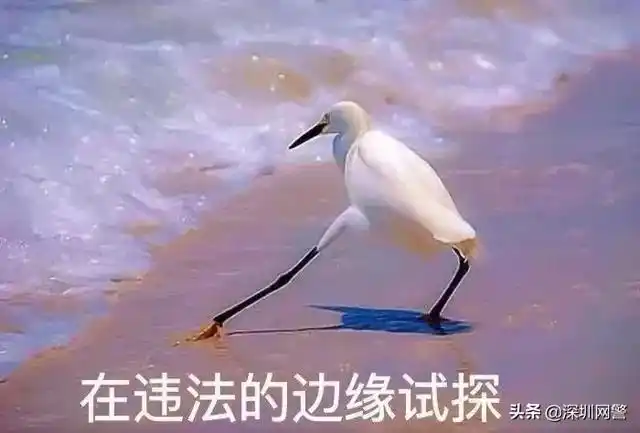 德州扑克游戏币_游戏币私下买卖法律风险_网络游戏币交易