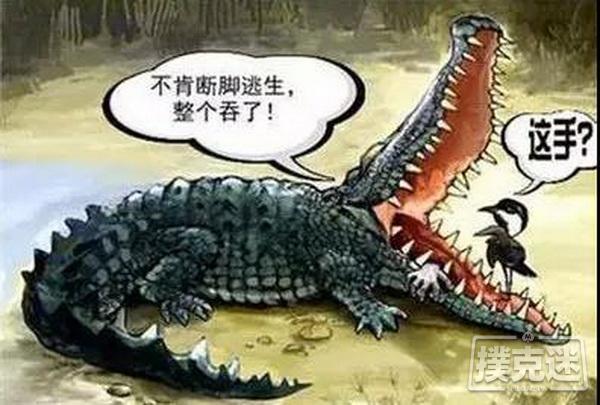 手表定律 德州扑克策略 洛伯定理 德州扑克观察 鳄鱼法则 德州扑克止损 酒与污水定律 德州扑克心态管理_德州扑克4-2法则