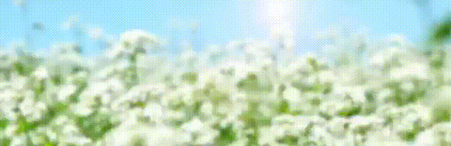 赌博的类型_赌博的危害_人生像德州扑克