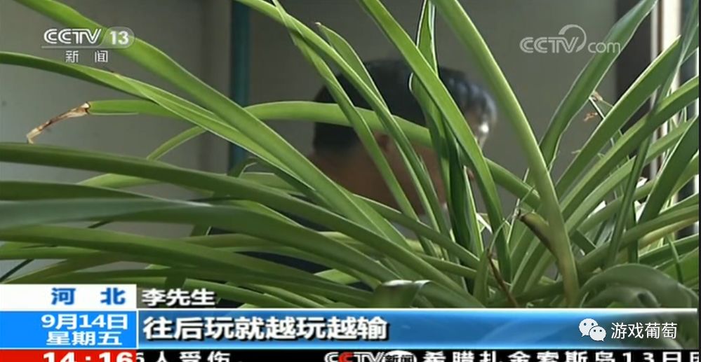 qq博雅德州扑克_博雅互动德州扑克赌博案_网络游戏平台赌博案
