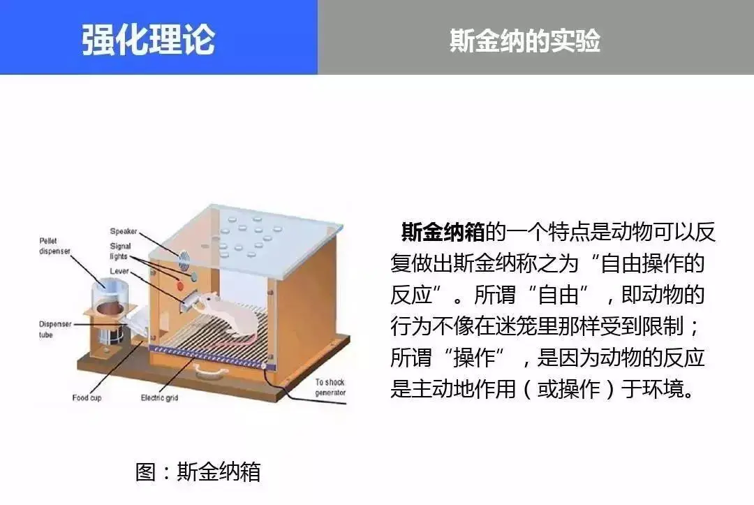 德州扑克 花色_小丑牌 构筑Rogue游戏 Rogue² 德州扑克变体