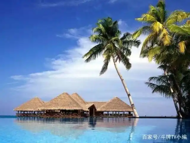 职业牌手的利弊_职业牌手的收益上限_德州扑克如何职业