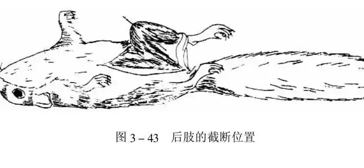 GTO打法优势与不足详解_德州扑克的算法_德州扑克GTO打法与剥削打法策略分析