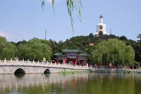 中国职业牌手故事_德州扑克游戏客服_万智牌职业选手经历