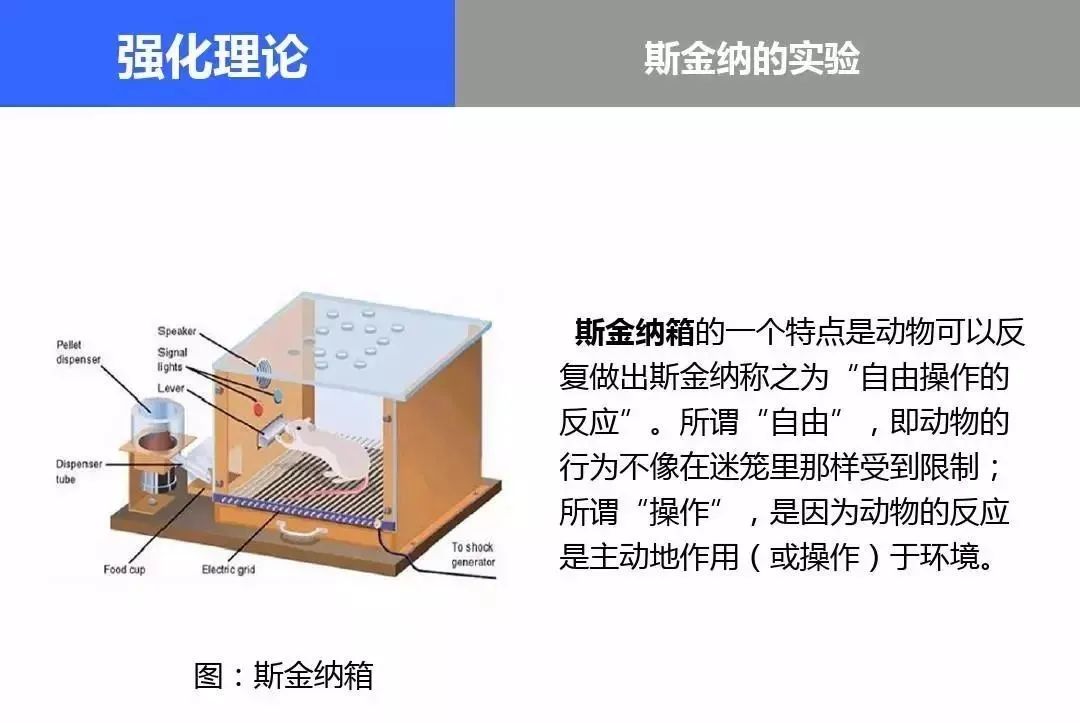 德州扑克游戏大小_小丑牌 独立游戏 单人开发 Rogue 元素 德州扑克 构筑卡牌