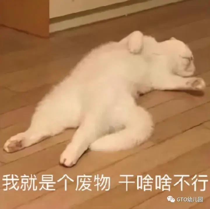新手朋友局核心要素_德州扑克co位置有几个_战胜鱼朋友德州扑克技巧