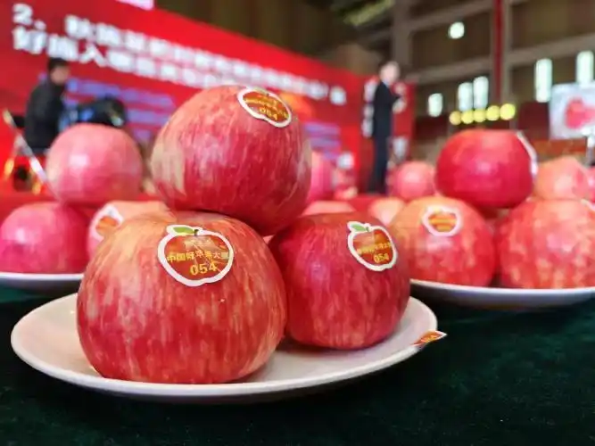 德州扑克如何职业_德州扑克职业选手收入分析_德州扑克在中国发展历程