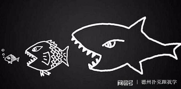 扑克水平提升技巧_扑克玩家成长路径_下分德州扑克官网