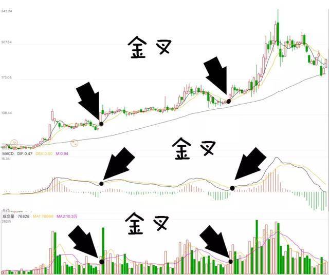投资理财原理_德州扑克复盘的流程_股票投机与赌博区别