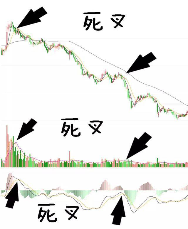 投资理财原理_股票投机与赌博区别_德州扑克复盘的流程