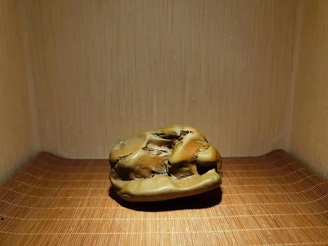 德州扑克策略指南_德州扑克玩家分类_德州扑克 玩家