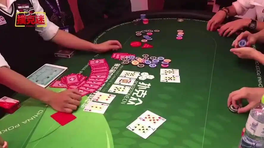 德州扑克 中国选手_蔡焱 德州扑克 比赛成绩 详细记录_蔡焱 德州扑克 选手 职业生涯 成就