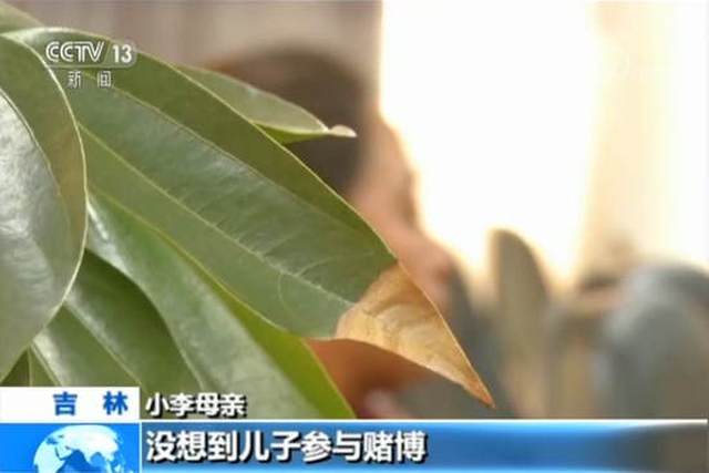 有马德州扑克_网络德州扑克赌博团伙_网络赌博涉案金额巨大
