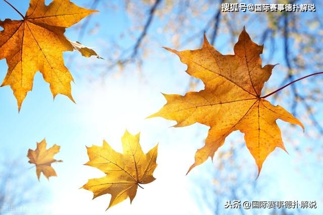 德州扑克历史大师名单_德州扑克是那个德州_世界扑克巡回赛冠军埃里克·塞德尔