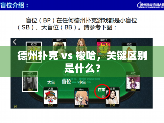 扑克新手规则混淆损失_德州扑克与梭哈区别_梭哈与德州扑克