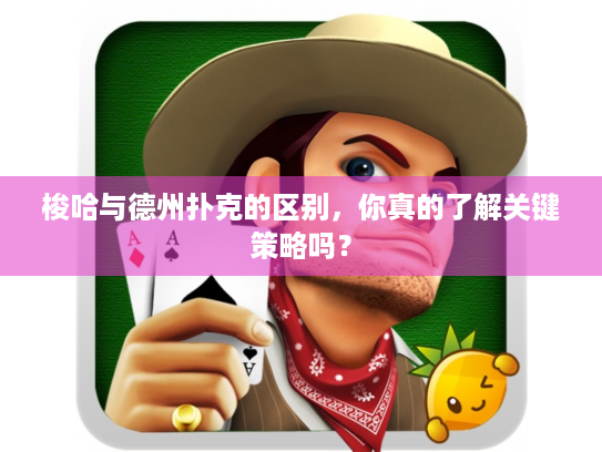 梭哈与德州扑克_梭哈与德州扑克区别_规则比较策略优化