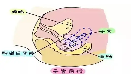 手牌强弱分析_德州扑克位置名称_德州扑克位置策略