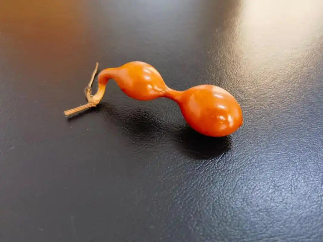 同花牌型优势_德州扑克同花牌型图解_德州扑克同花策略