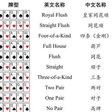 德州扑克 分配_德州扑克新手指南_德州扑克规则与技巧
