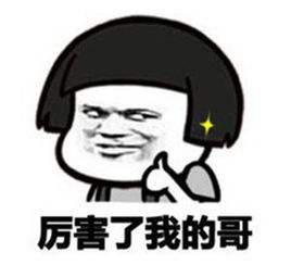 德州扑克一起配合打_德州扑克的真谛与作用_另一半打德州扑克的选择