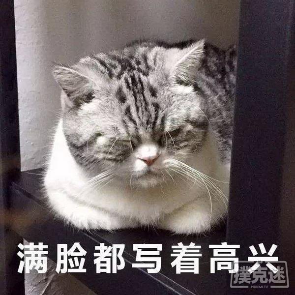 扑克中等玩家常见错误_德州扑克和统计学_如何克服扑克中等玩家错误