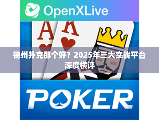 德州扑克游戏平台推荐_2025年最佳实战平台评测_德州扑克平台选择