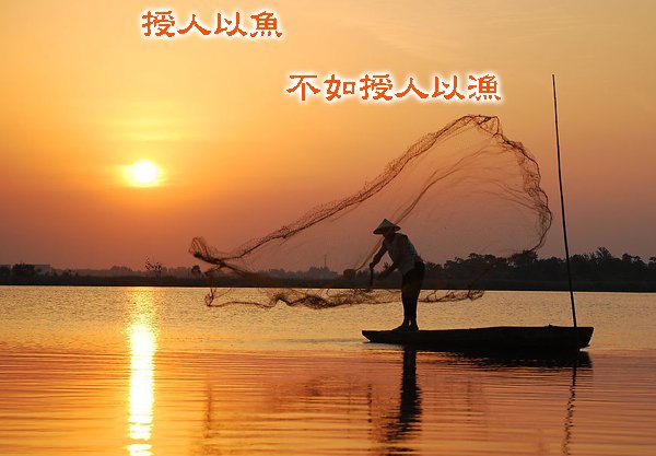 抓住趋势稳定盈利_德州扑克如何稳定盈利_黄金外汇原油投资以小博大