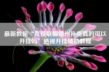 麻将与棋牌辅助软件_多功能作弊软件_微信德州扑克刷金币