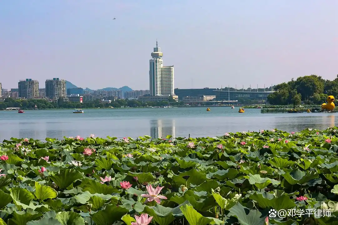 德州扑克俱乐部开设赌场辩护_德州扑克大厅_黄牛与开设赌场罪认定