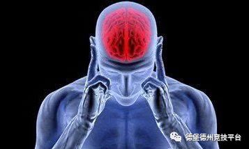 扑克诈唬时大脑的反应_大脑诈唬真人与电脑的区别_德州扑克相互诈唬