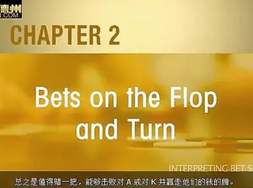 德州扑克视频教程锦标赛打法_德州扑克网上教程视频_德州扑克视频教程下注策略