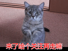 德州扑克职业玩家英文_职业赌徒思考_赌博风险