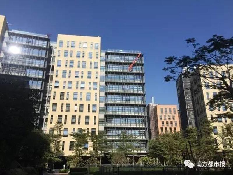 博雅之星德州扑克输光_博雅德州扑克游戏币线下交易_深圳东方博雅科技公司非法侵占我血汗钱