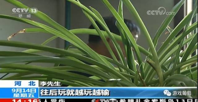 博雅德州扑克_网络游戏平台赌博案_博雅互动德州扑克赌博案