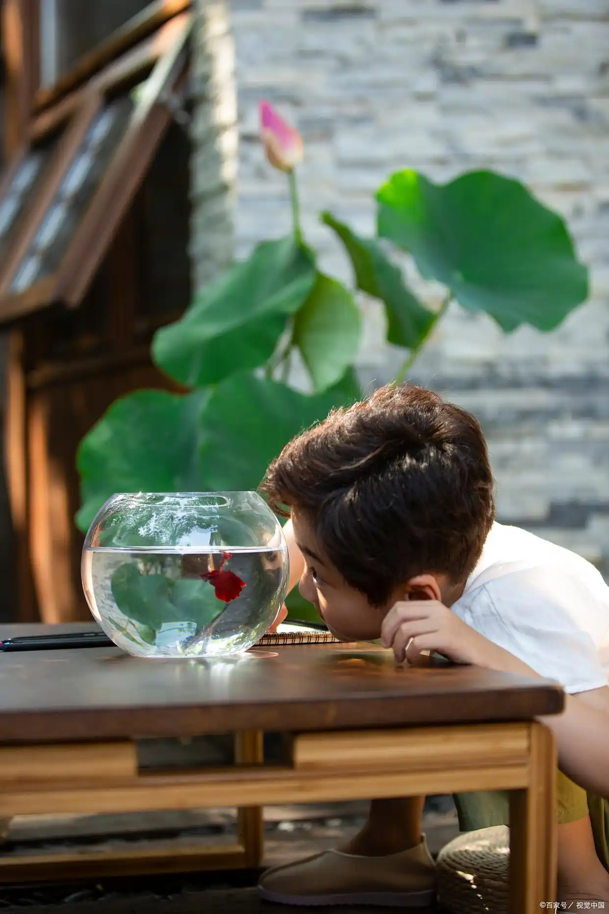 人生牌局心法_牌桌人生智慧_德州扑克机会牌
