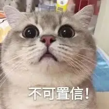 新加坡非法赌场被查_新加坡德州扑克室_新加坡地下赌场